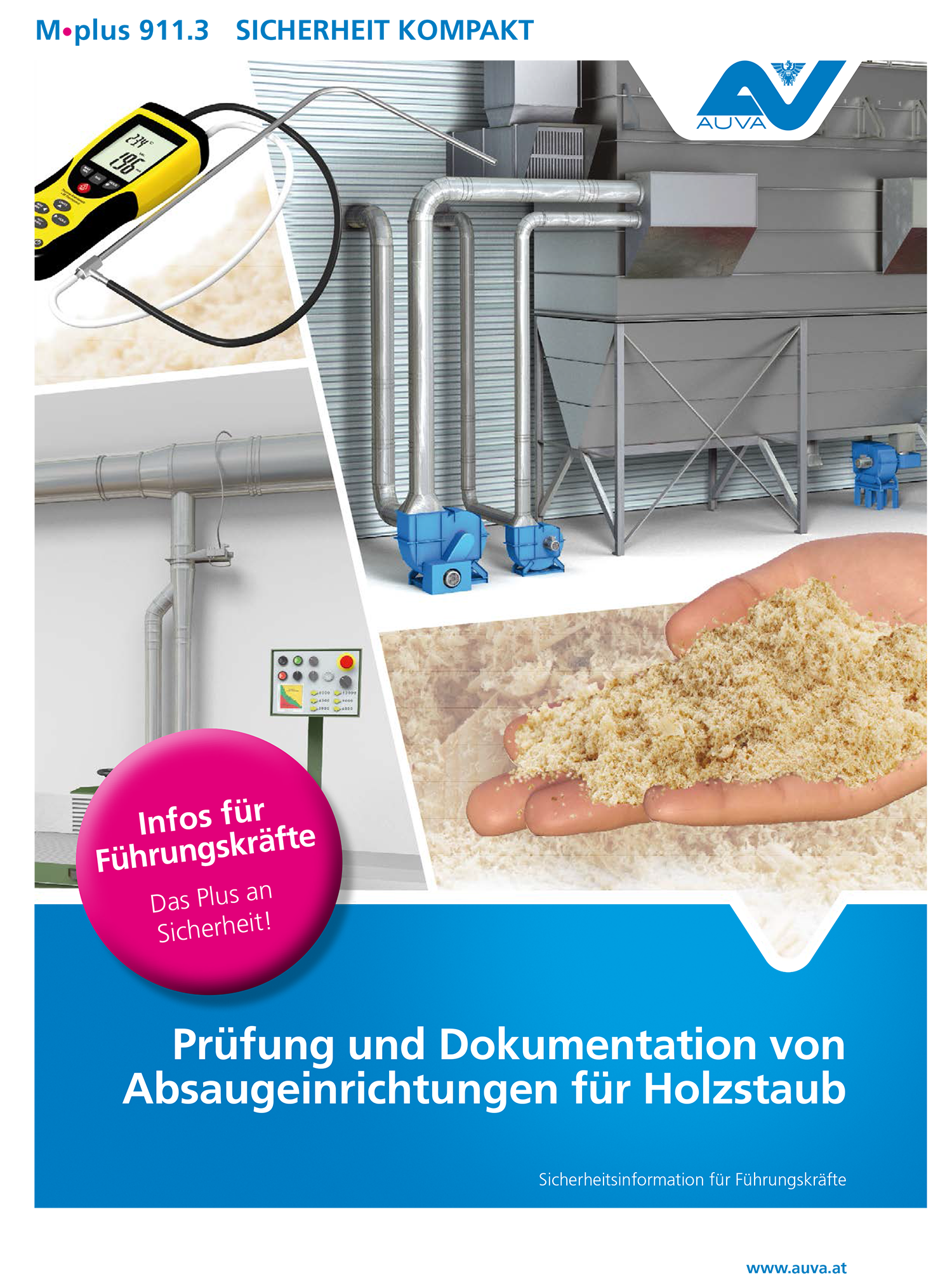Titelbild des Merkblattes "M.plus 911.3 Prüfung und Dokumentation von Abgasabsaugeinrichtungen für Holzstaub"