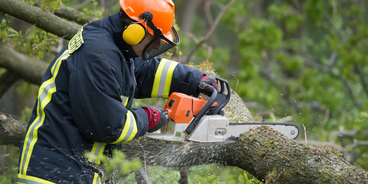 Adobestock 52760625 1440 Baum Zersaegen©Benjaminnolte S Feuerwehrmann beim Zersägen eines Baumes
