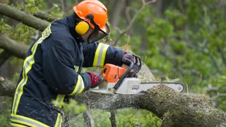 Adobestock 52760625 1440 Baum Zersaegen©Benjaminnolte S Feuerwehrmann beim Zersägen eines Baumes