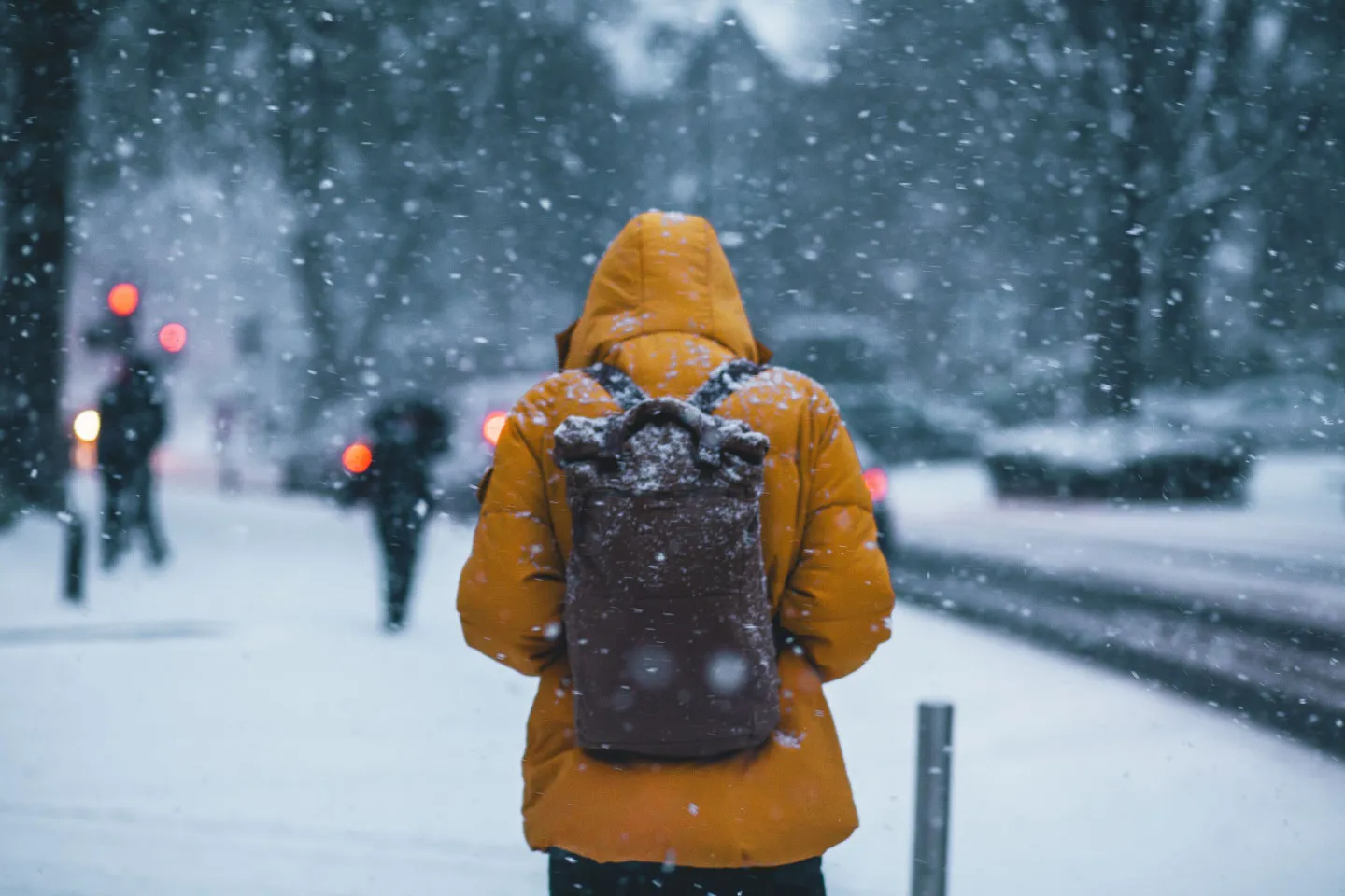 Credit Thom Holmes 580117 Unsplash 1440 - Person zu Fuß im Winter Eine Person in Winterbekleidung ist zu Fuß auf einem beschneiten Gehweg neben der Straße unterwegs.