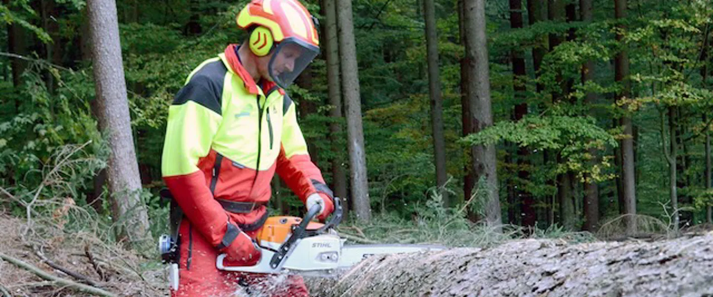 Forstseite-Beitrag-credit ChristianLackner-Bundesforschunszentrum-fuer-Wald   Forstarbeiter mit Schutzausrüstung schneidet mit der Motorsäge einen umgefallenen Baumstamm.