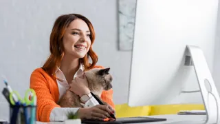 Frau arbeitet im Homeoffice am Computer