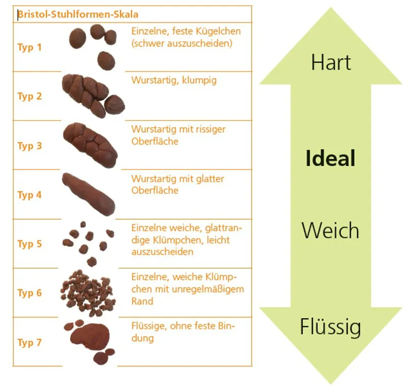 RH Skala Stuhlbeschaffenheit - Ratgeber Querschnittlähmung Skala Stuhlbeschaffenheit - Ratgeber Querschnittlähmung
