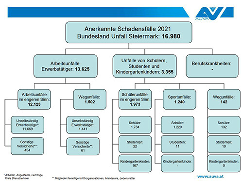 Anerkannte Schadensfälle 2021, Unfall, Bundesland Steiermark