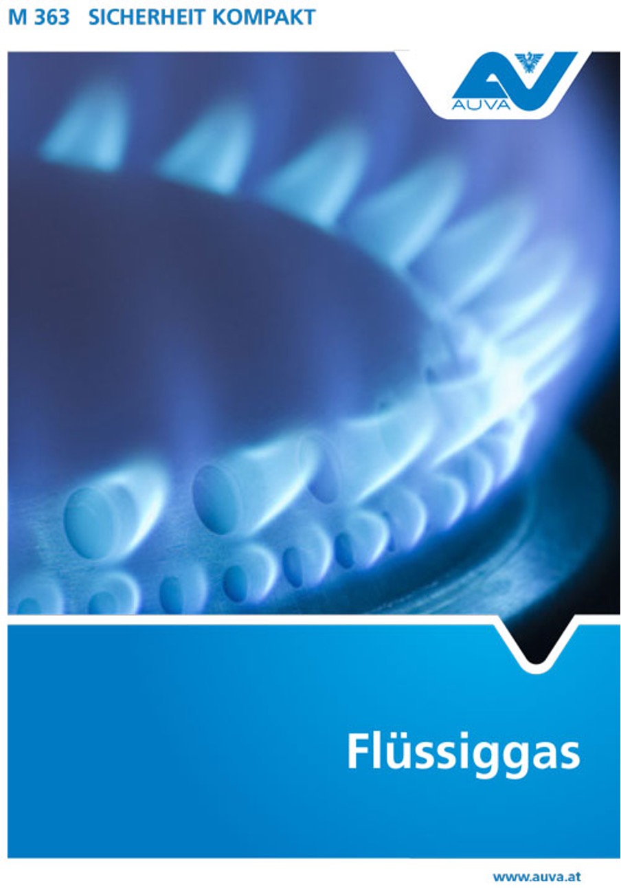 Titelbild des Merkblattes "M 363 Flüssiggas"