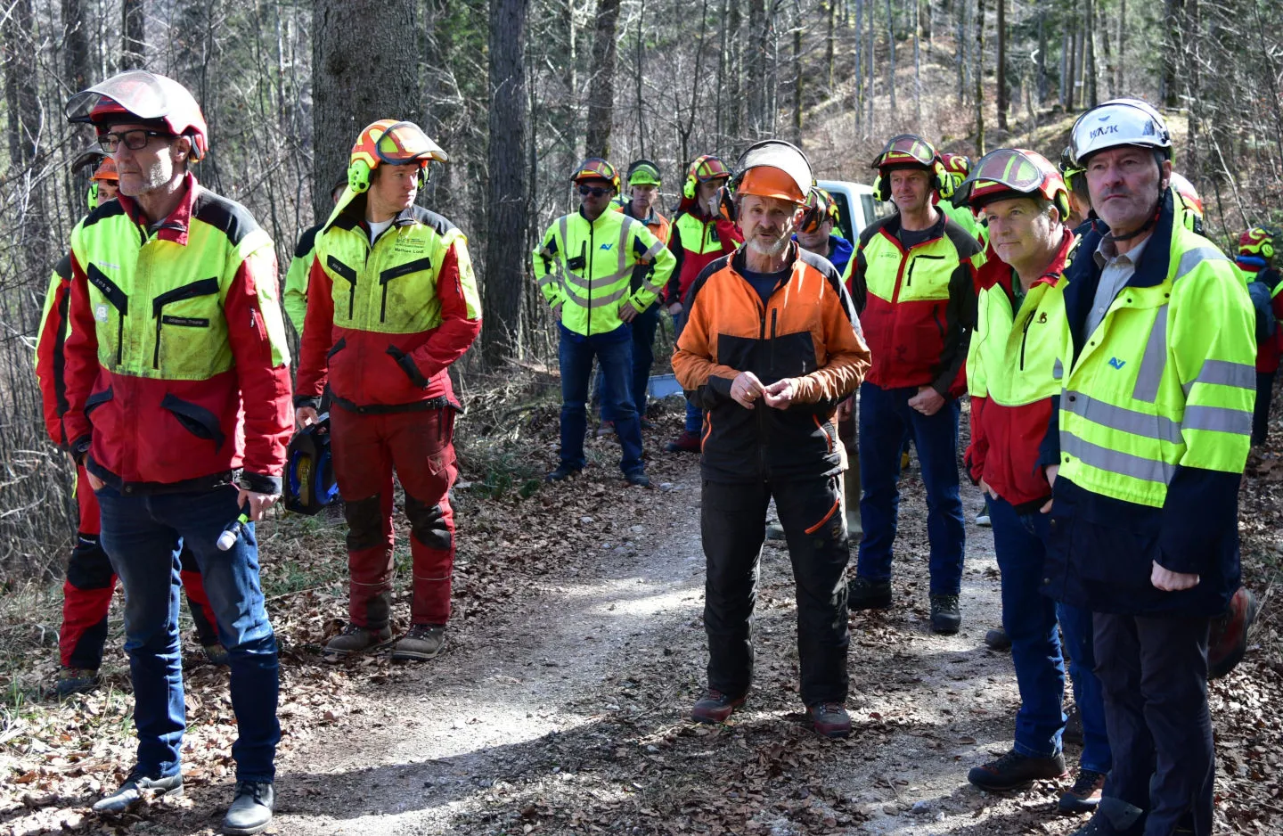 Mehrere Teilnehmer befinden sich beim praxisorientierten Teil der Veranstaltung im Wald
