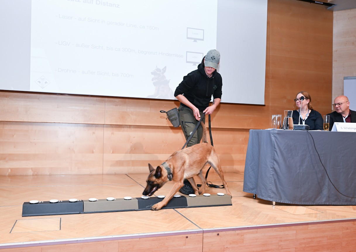 Ein belgischer Schäferhund schnüffelt an Behältnissen, die am Boden aufgereiht sind. Dahinter steht die Hundeführerin.