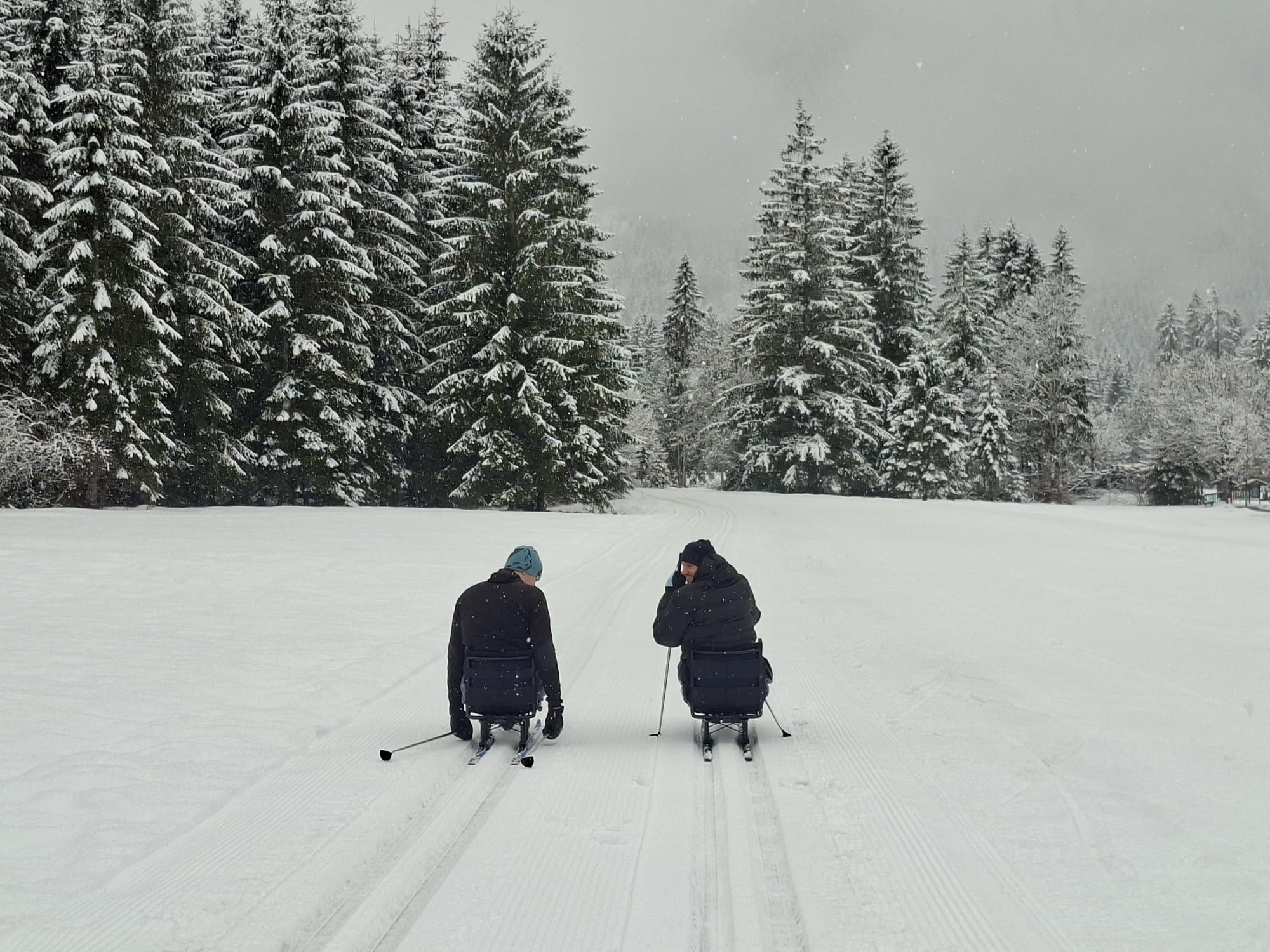 Zwei Teilnehmende auf Langlaufschlitten im Schnee, im Hintergrund eingeschneite Wälder
