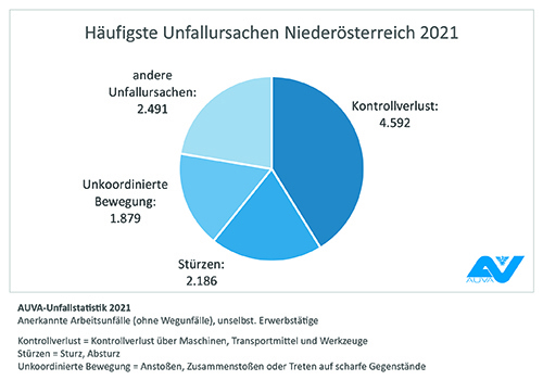 Häufigste Unfallursachen in NÖ (2021)